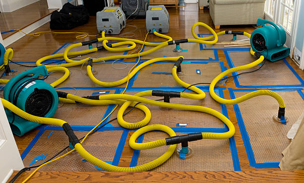 Professional Water Damage Restoration technician working in West Finley, PA